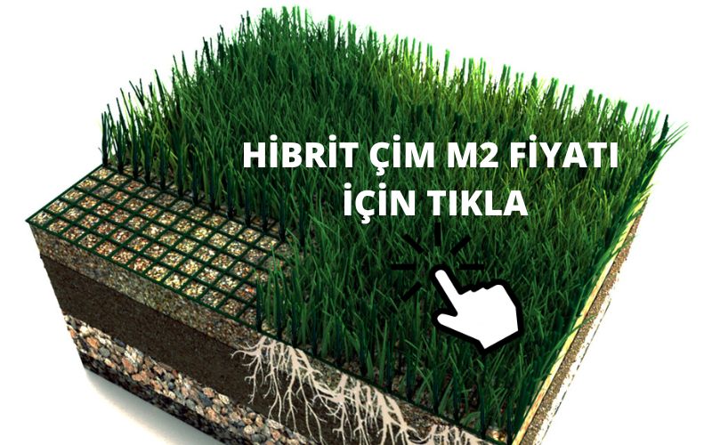 hibrit çim fiyatları